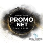 promo domain .net