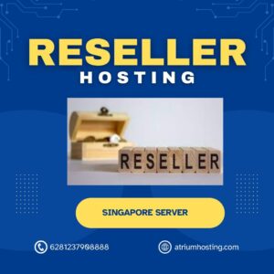 Reseller Hosting DirectAdmin Server Singapore Ready Stock