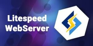 Cloud Hosting Support Litespeed WS, LSCACHE , LVE,  REDIS OBJECT